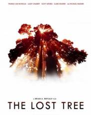 Потерянное дерево (2016)
