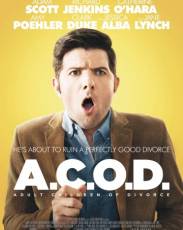 Взрослые дети развода (2013)