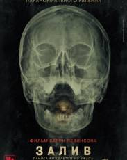 Залив (2012)