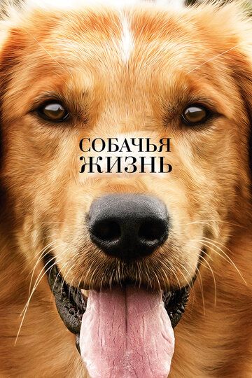 Собачья жизнь 1 (2017)