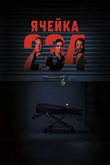 Ячейка 234 (2024)